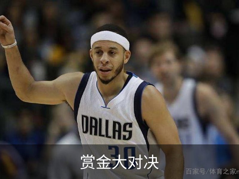 了解赏金大对决